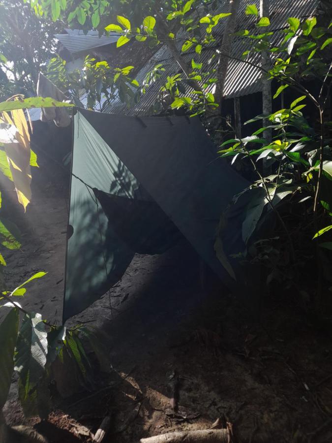 Xingu Camping Site レティシア エクステリア 写真