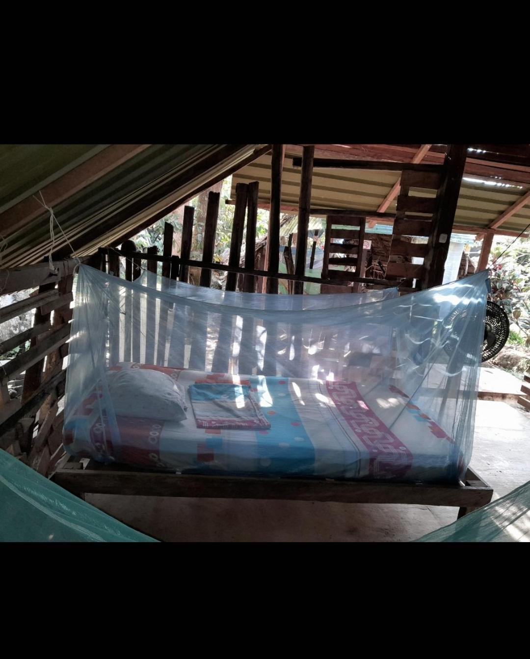 Xingu Camping Site レティシア エクステリア 写真