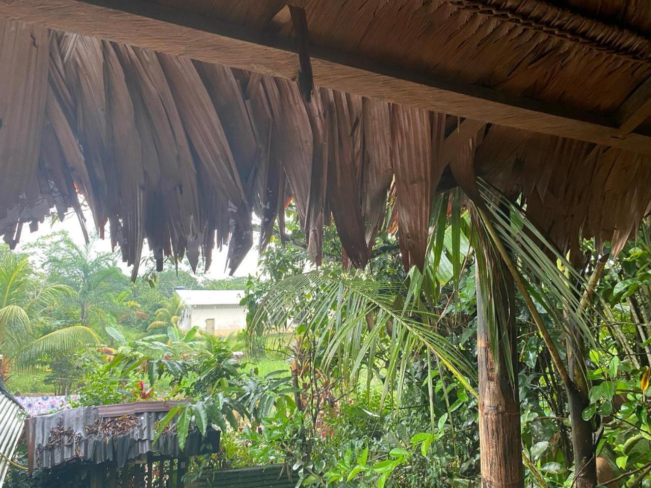 Xingu Camping Site レティシア エクステリア 写真