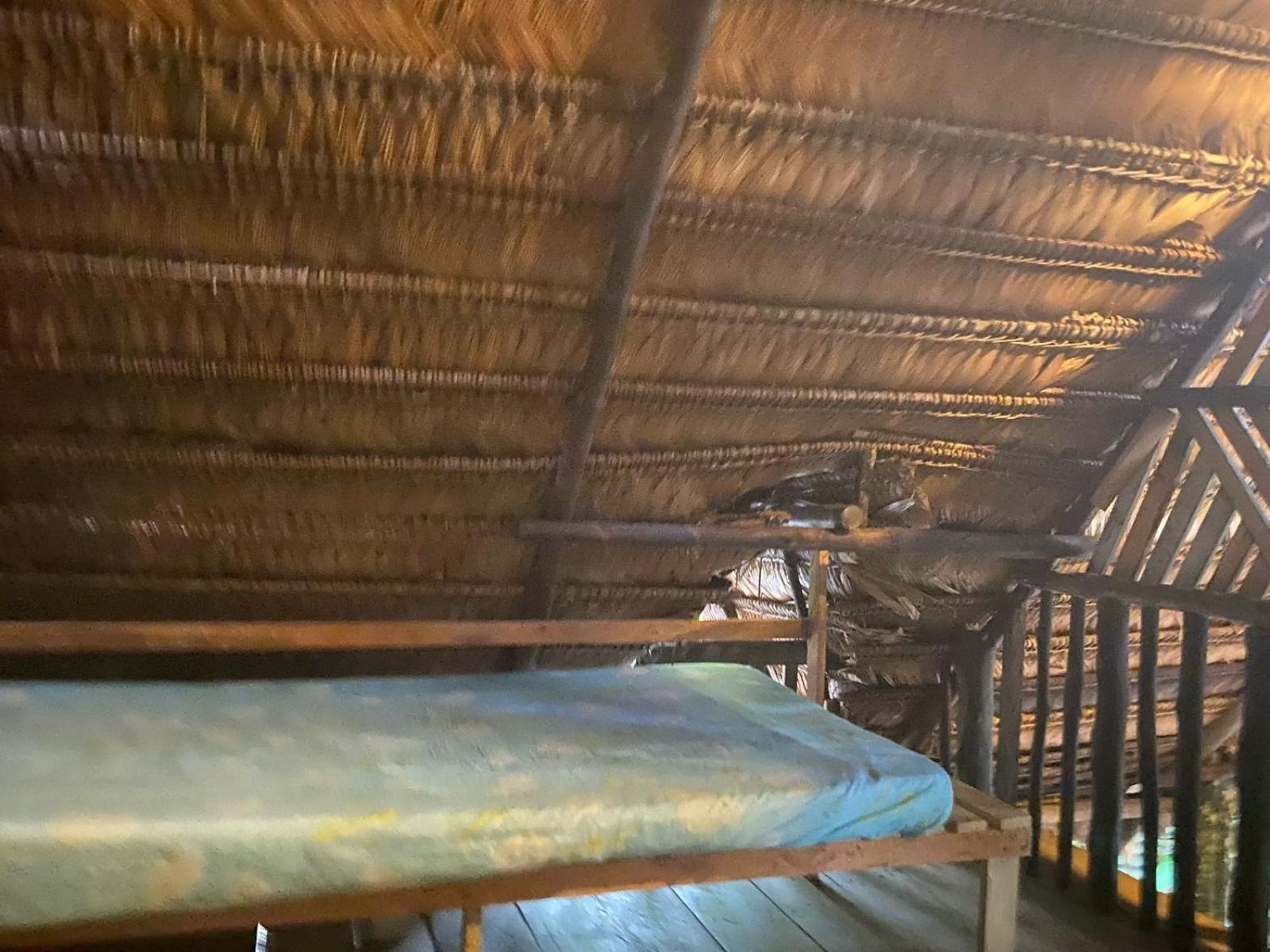 Xingu Camping Site レティシア エクステリア 写真