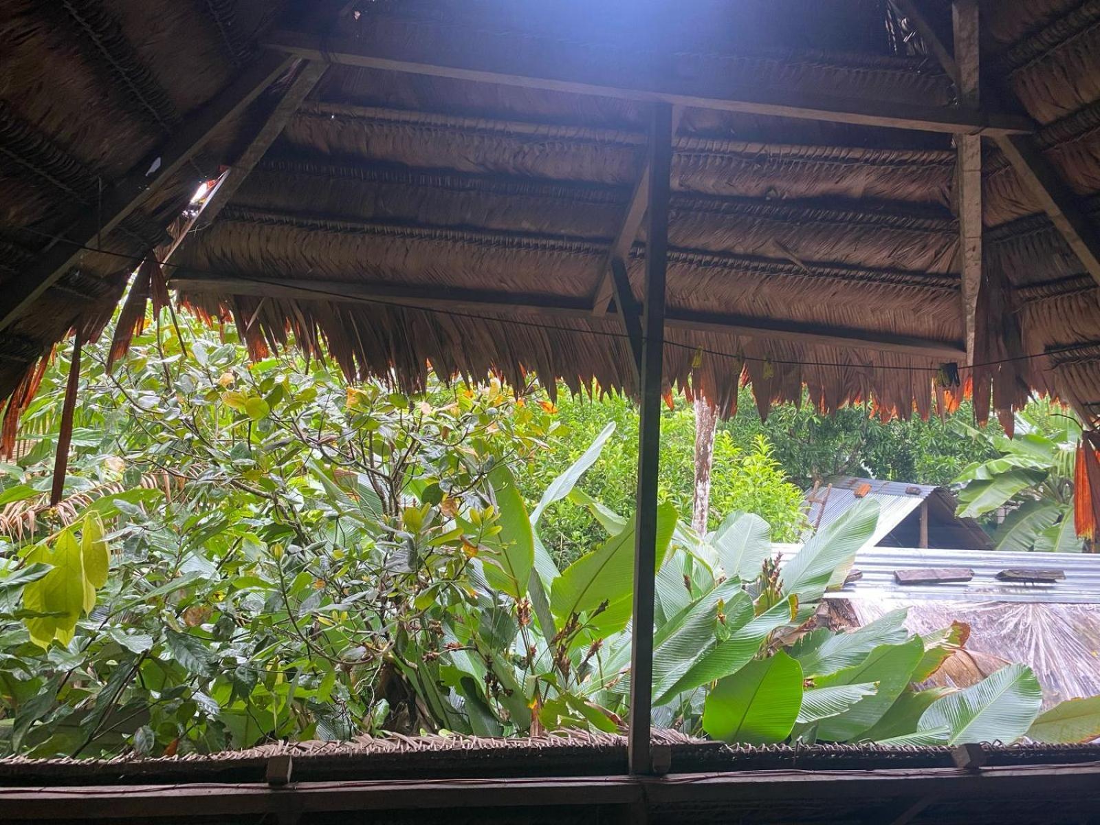 Xingu Camping Site レティシア エクステリア 写真