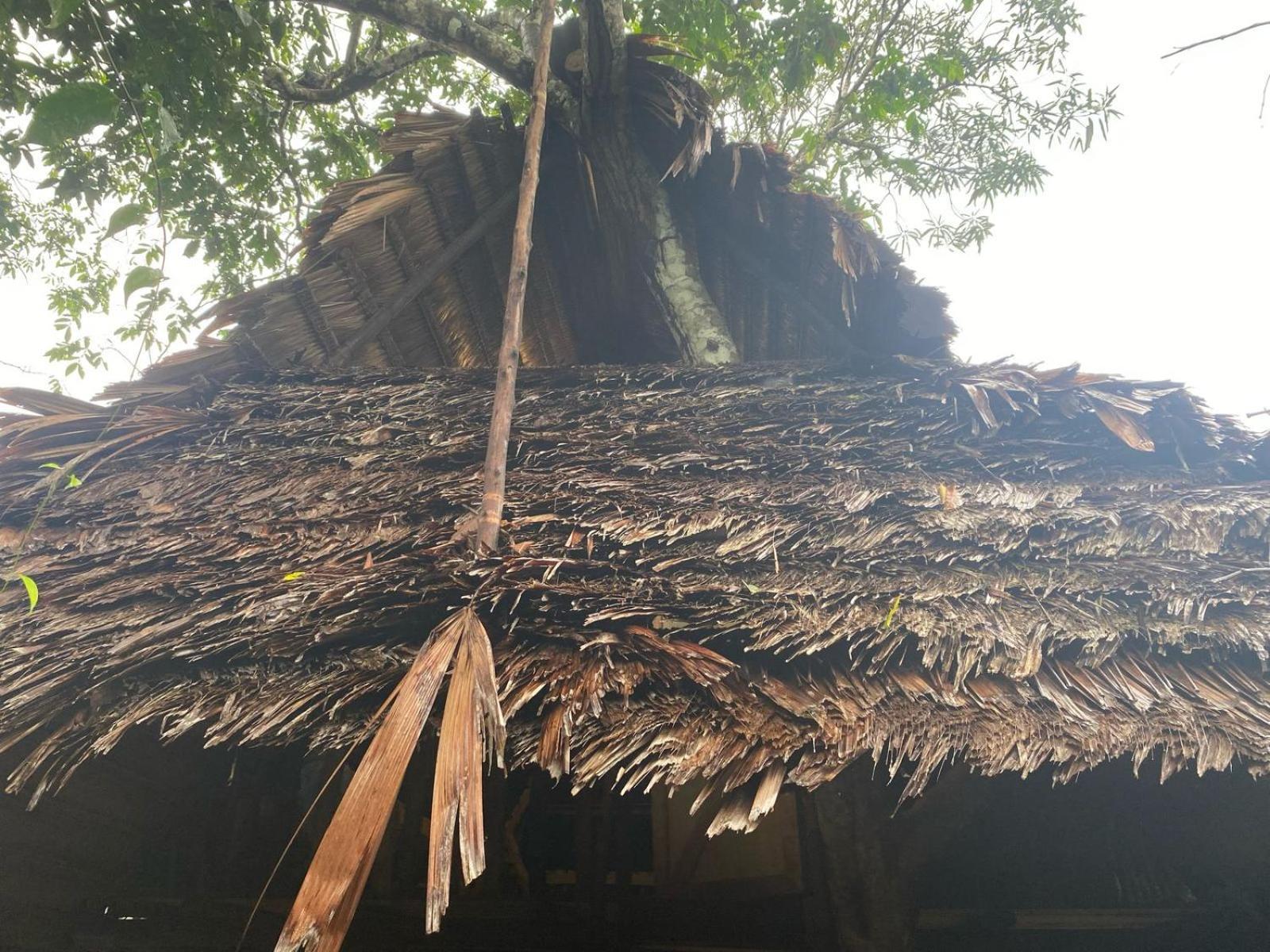 Xingu Camping Site レティシア エクステリア 写真