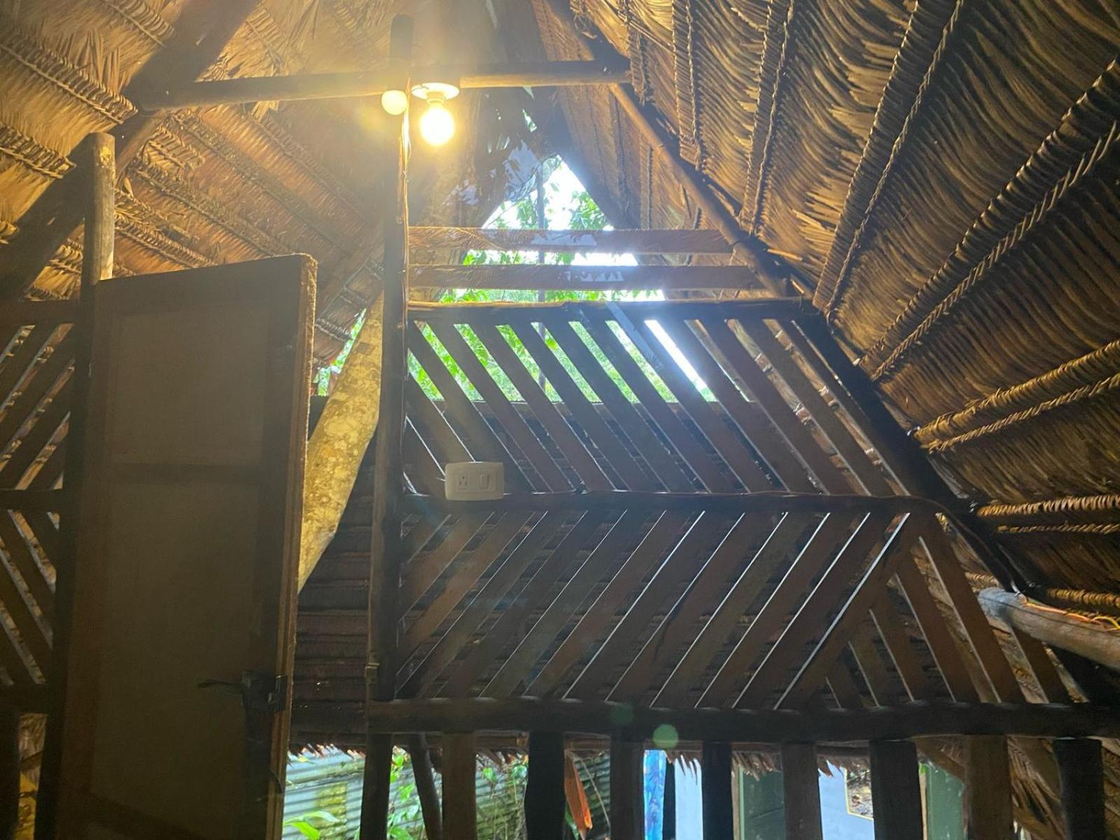 Xingu Camping Site レティシア エクステリア 写真
