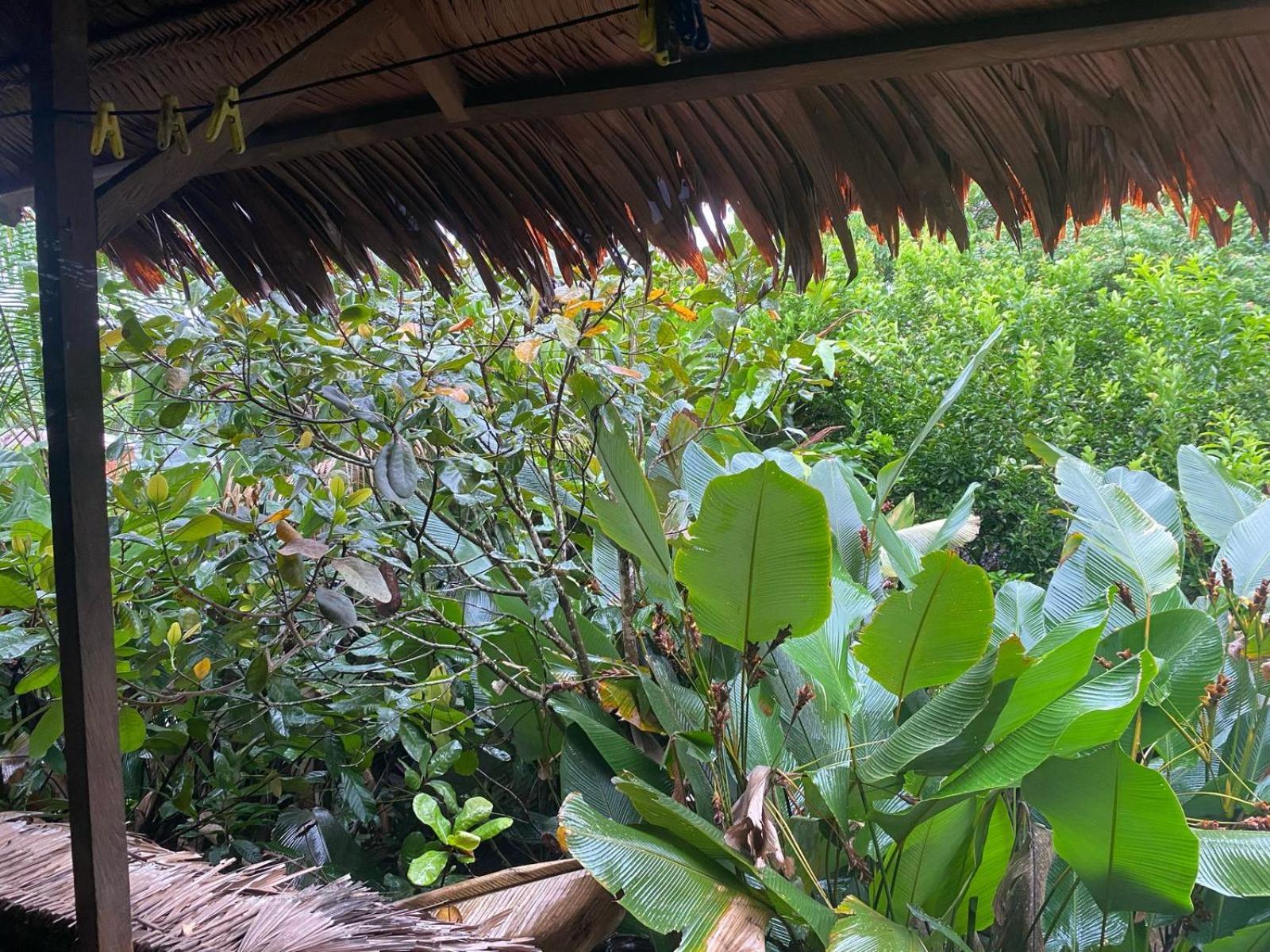 Xingu Camping Site レティシア エクステリア 写真