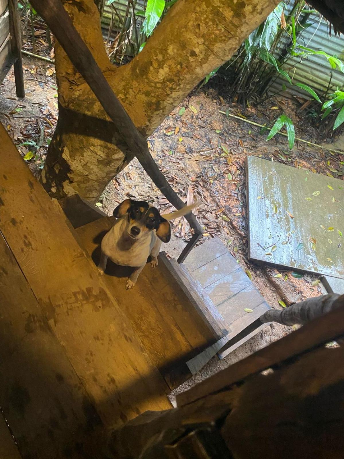 Xingu Camping Site レティシア エクステリア 写真