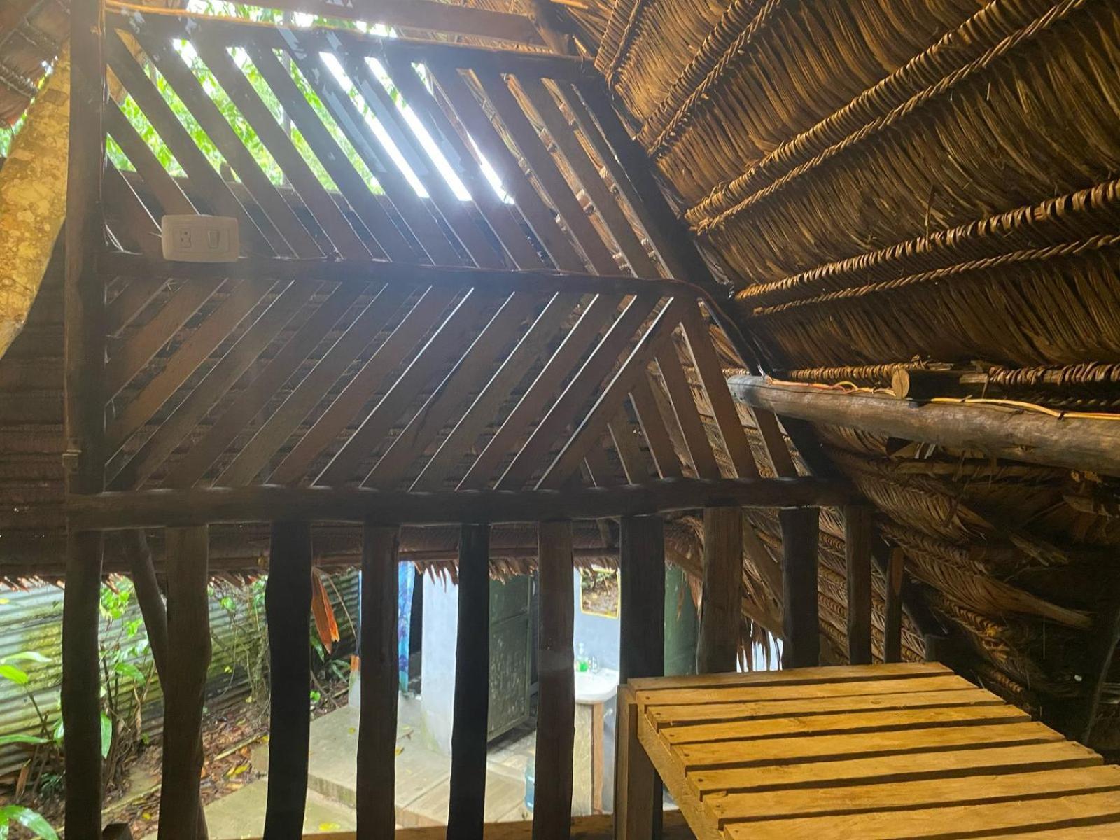 Xingu Camping Site レティシア エクステリア 写真