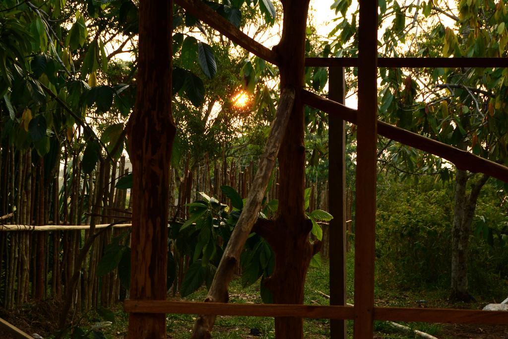 Xingu Camping Site レティシア エクステリア 写真
