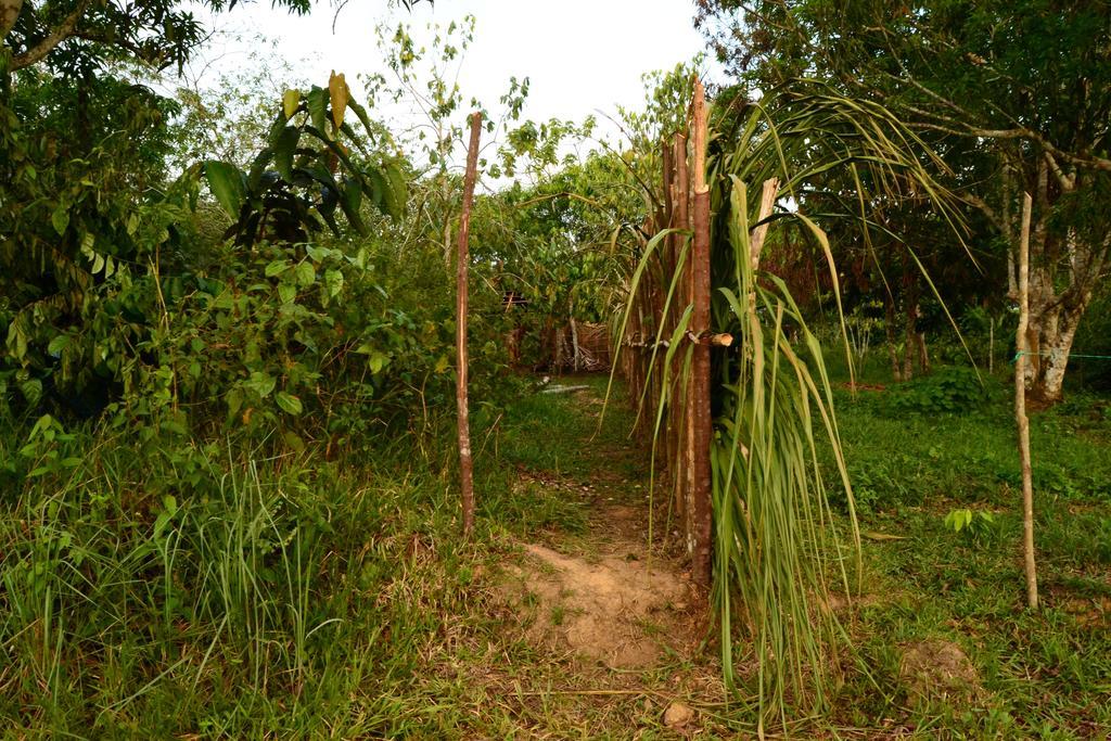 Xingu Camping Site レティシア エクステリア 写真