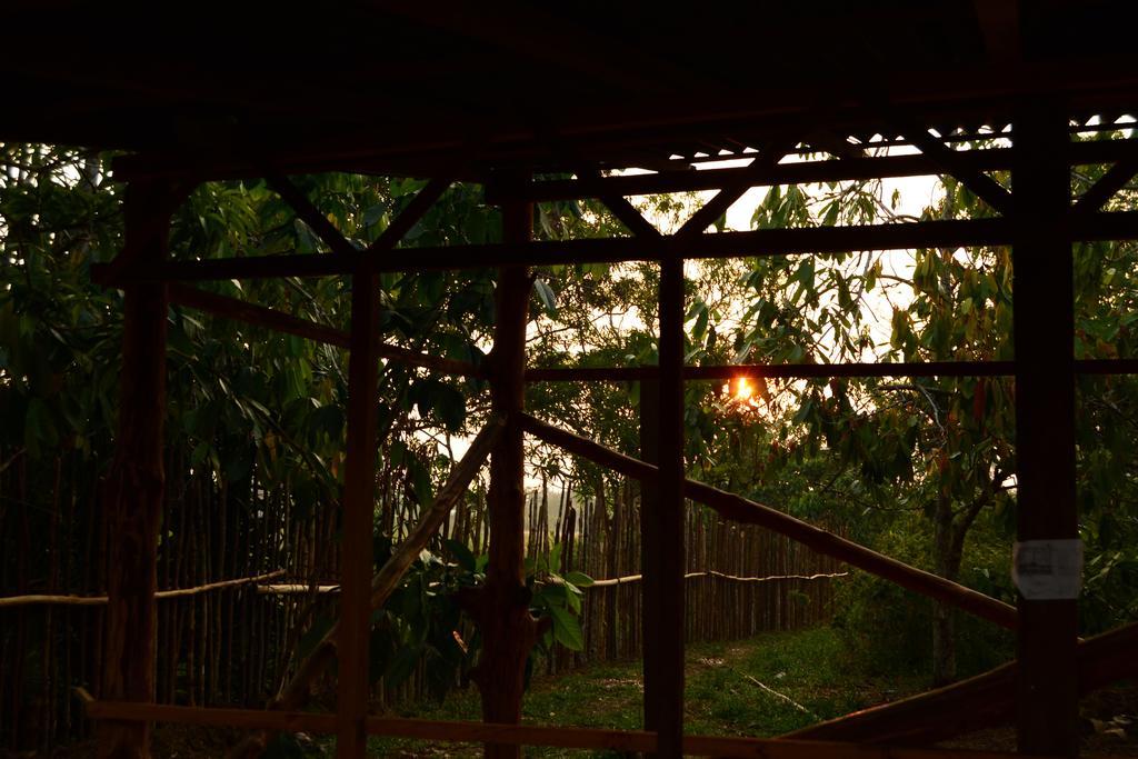 Xingu Camping Site レティシア エクステリア 写真