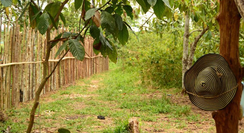 Xingu Camping Site レティシア 部屋 写真