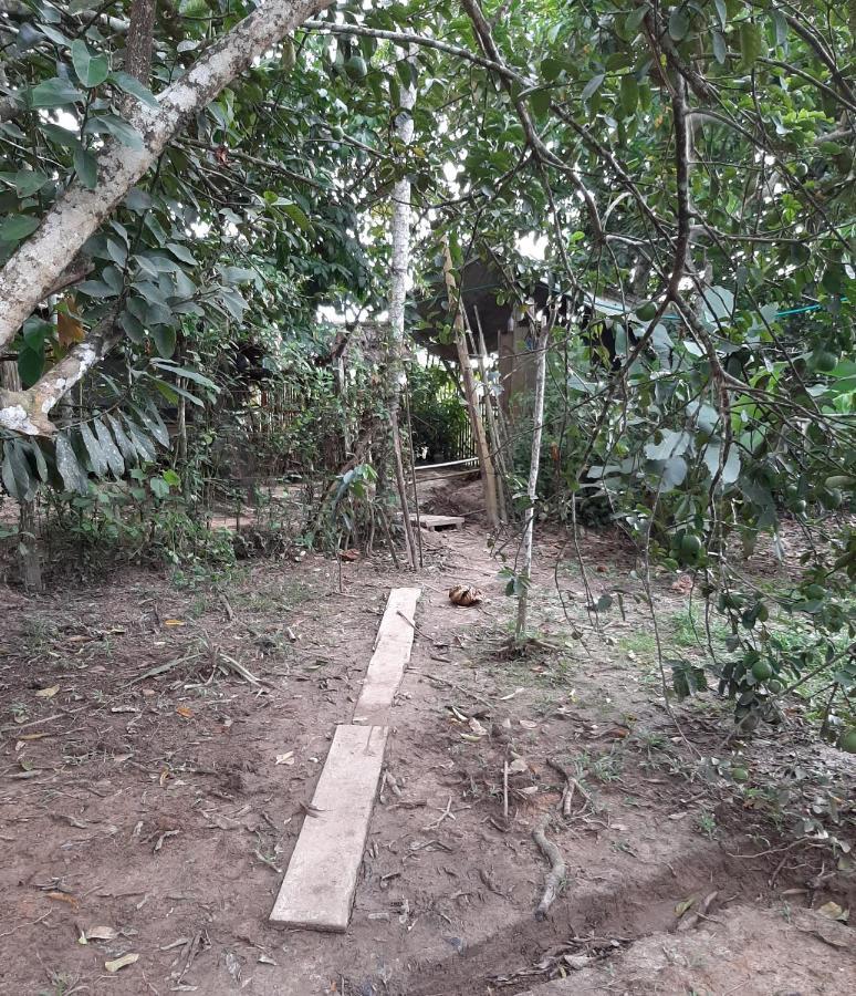 Xingu Camping Site レティシア エクステリア 写真