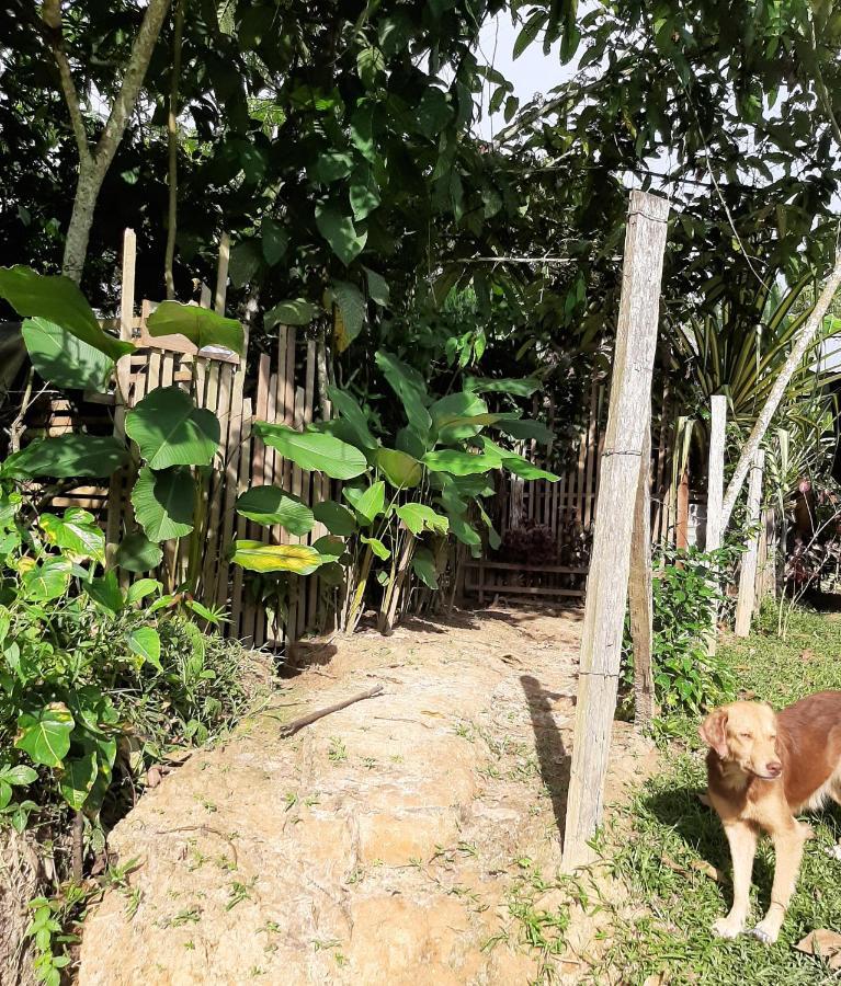 Xingu Camping Site レティシア エクステリア 写真