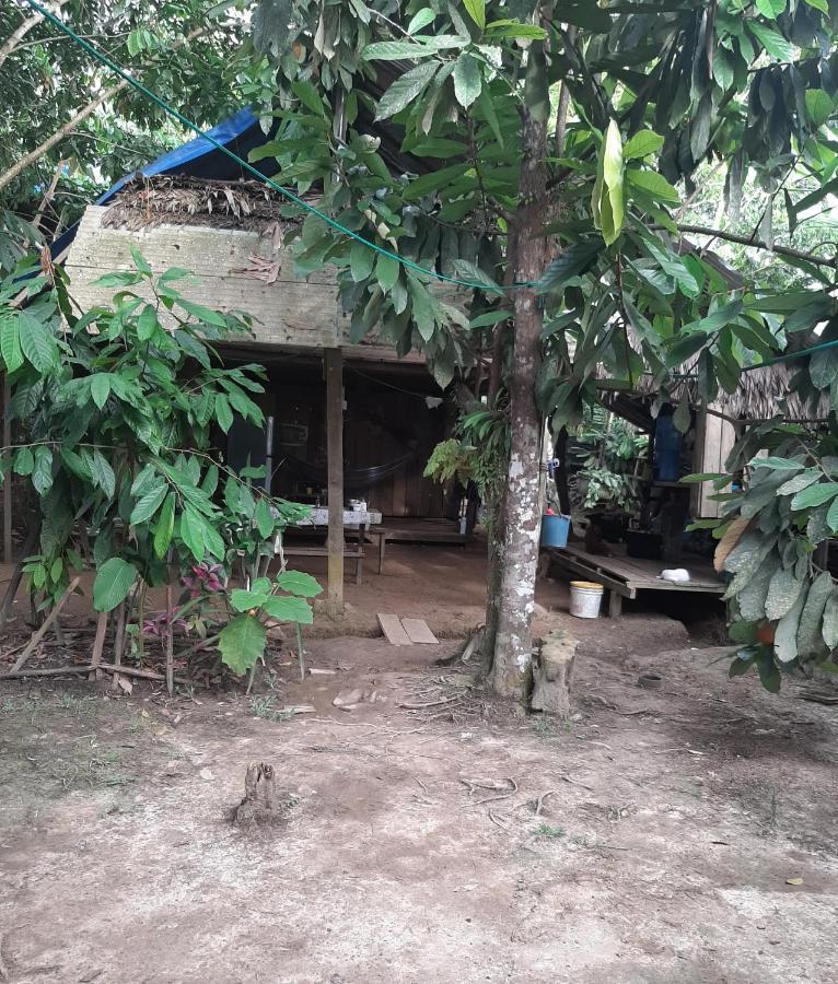 Xingu Camping Site レティシア エクステリア 写真
