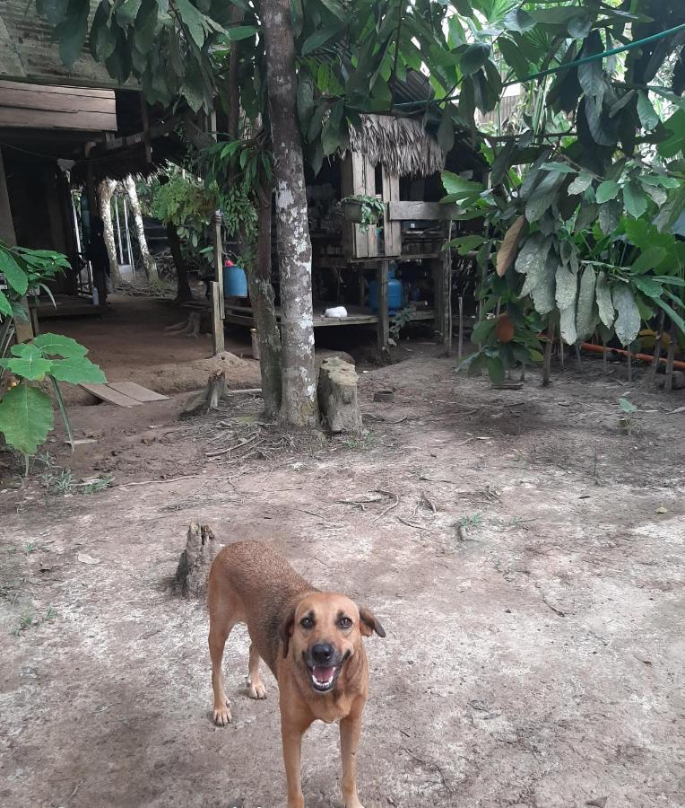 Xingu Camping Site レティシア エクステリア 写真